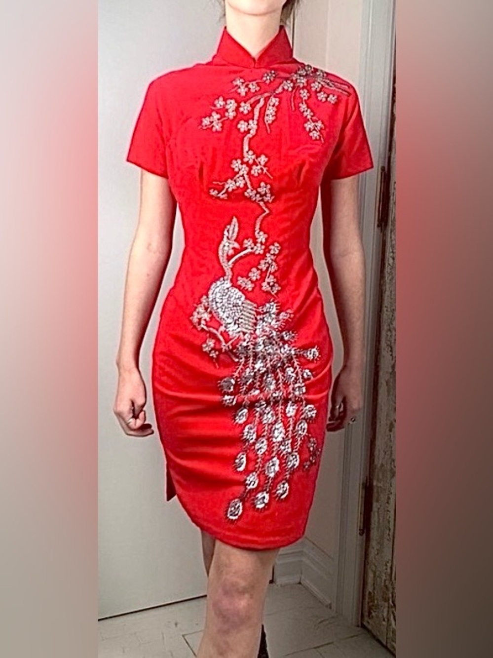 RARE Anna Corinna Vintage Flame Velvet Beaded Peacock Dress